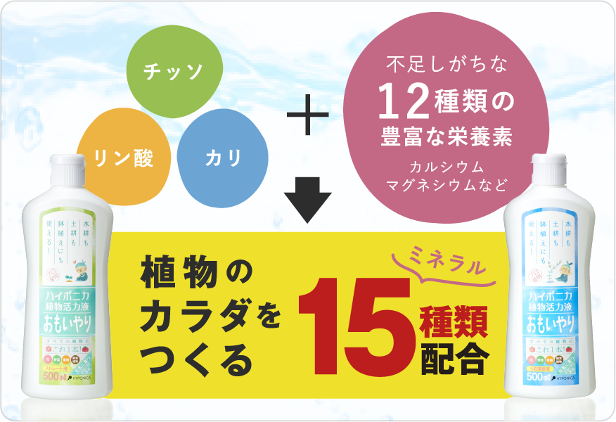 （法人限定）協和ハイポニカ ハイポニカ植物活力液 おもいやりストレート液 500ml×40本 ハイポニカ植物活力液「おもいやり」 | 協和株式会社 ハイポニカ事業本部
