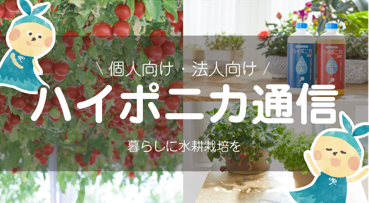 ハイポニカ通信
