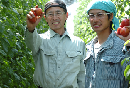 2人の男性がトマトを持って農園で立っている写真