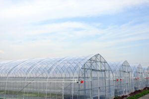 温室の高温対策は万全ですか？作物と収量を守るための実践的・農業用資材ガイド